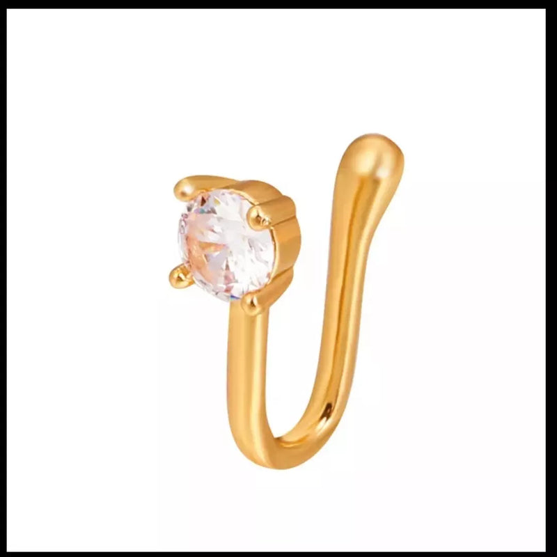 Fake pierced Nose Ring